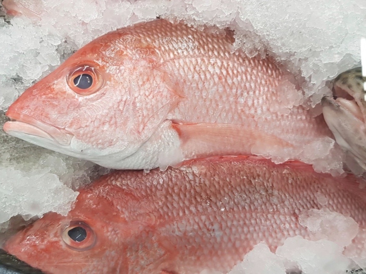 Frozen provisions held in our cold store