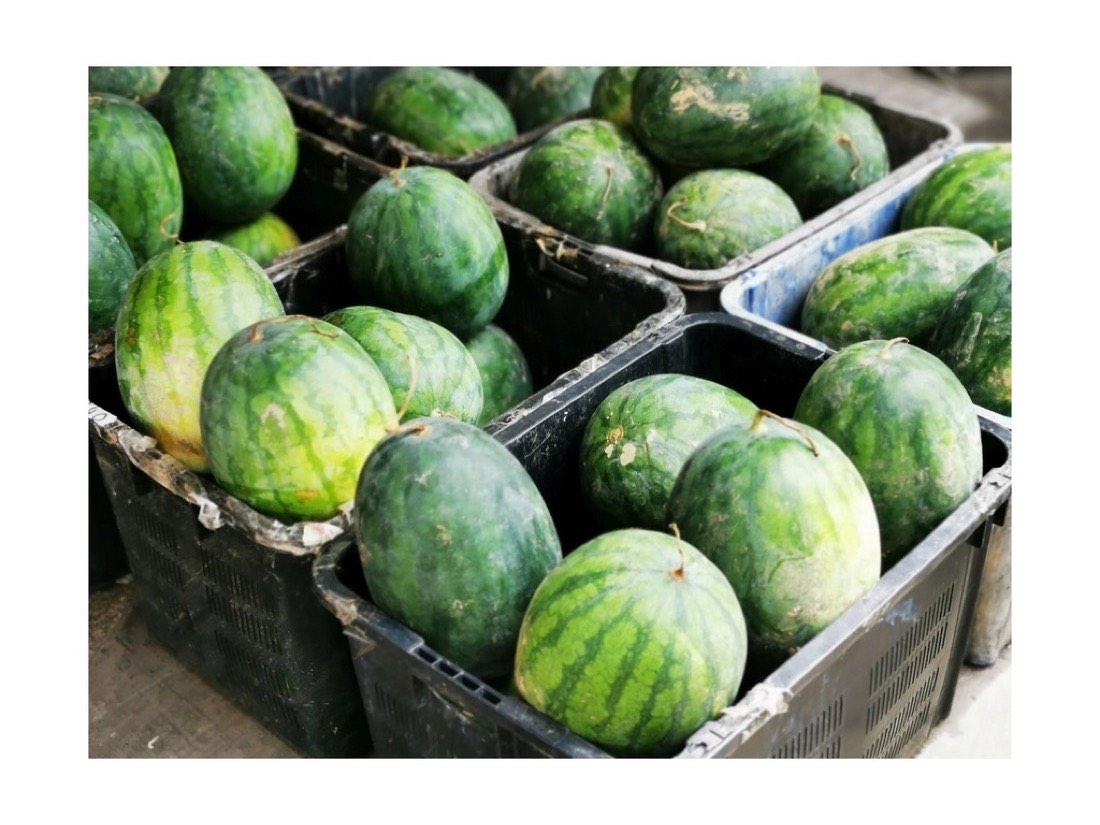 Crated produce ready for the cold chain