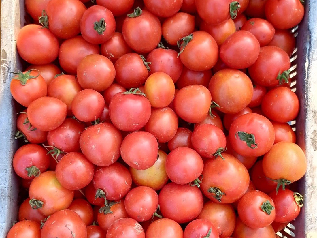 Quality-checked fresh produce